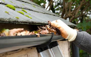 gutter cleaning Spring Hill