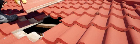 compare Spring Hill roof repair quotes
